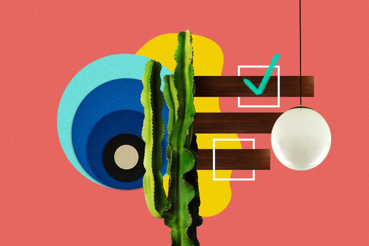 A collage of Midcentury Modern interior design elements and a cactus.