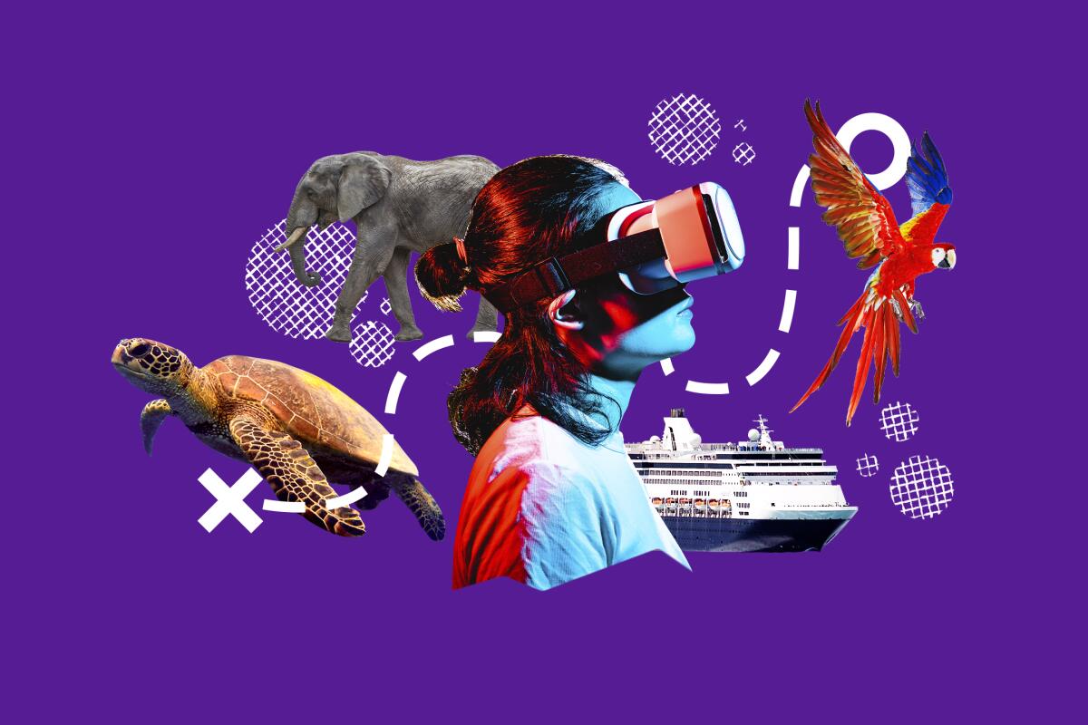 An illustration of a parrot, elephant, sea turtle and cruise ship and someone wearing a virtual reality headset.
