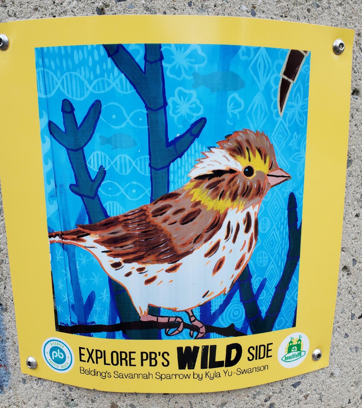 Belding’s Savannah sparrow, designed by Kyla Yu-Swanson as part of a mural on the UCSD Kendall-Frost Marsh trailer.