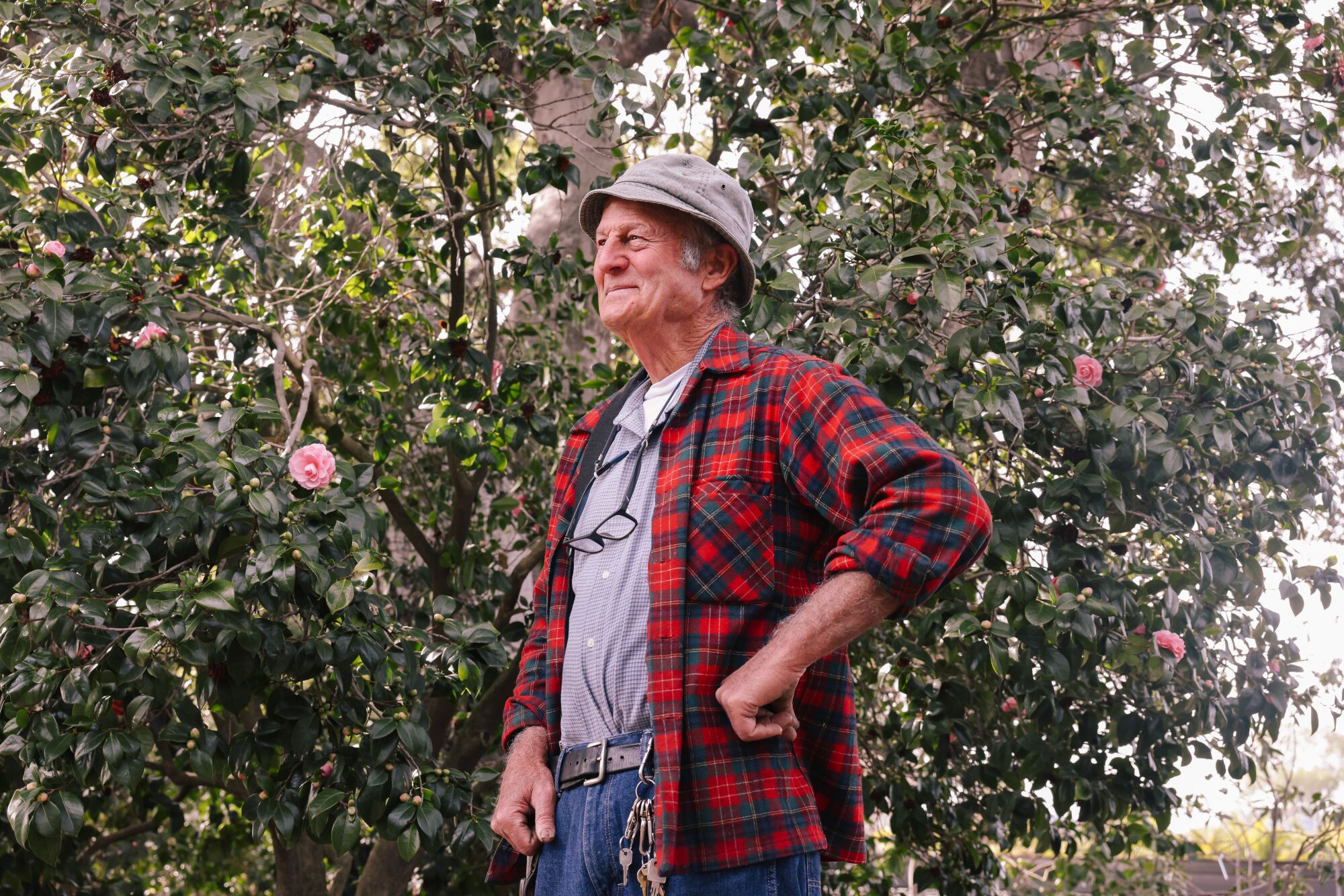 Tom Nuccio smiles in front of camellias at a nursery.