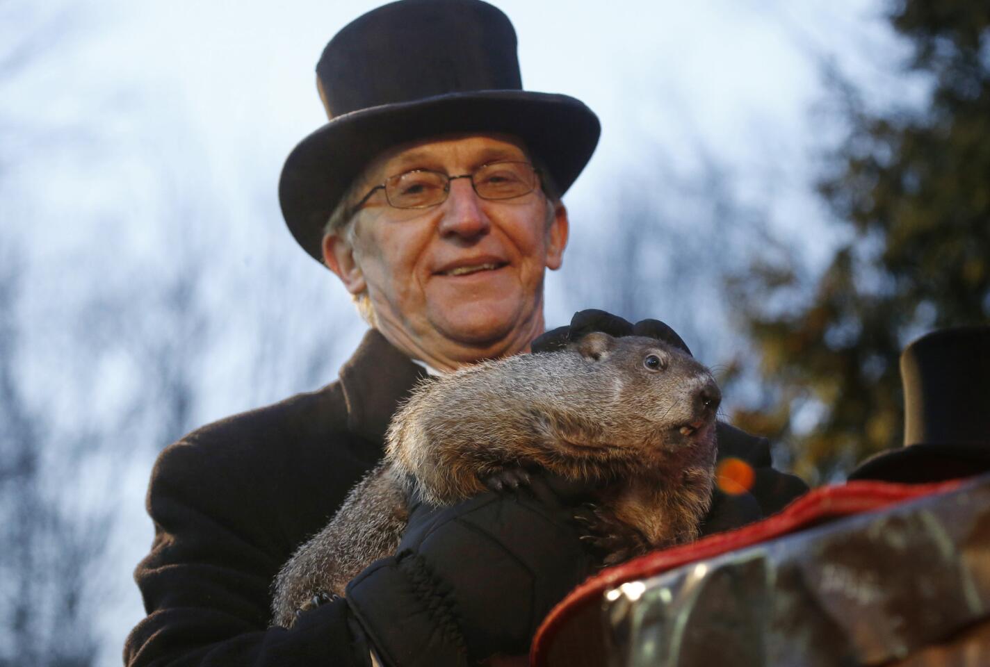Groundhog Club co-handler Ron Ploucha holds Punxsutawney Phil during the annual celebration of Groundhog Day on Gobbler's Knob in Punxsutawney, Pa., Tuesday, Feb. 2, 2016. The handlers say the furry rodent has failed to see his shadow, meaning he's "predicted" an early spring.