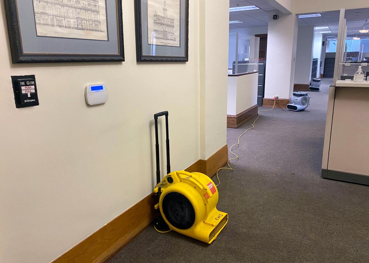A plugged-in yellow fan drying a carpet in an office.