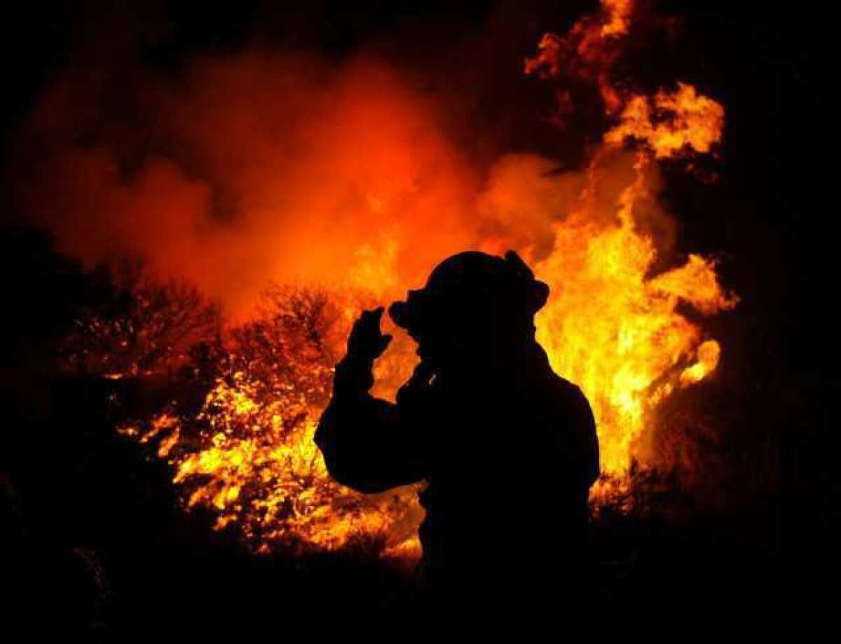 A firefighter surveys a scene at the 2003 Cedar fire in San Diego County, a blaze that was a "game changer" for mutual-aid firefighting in California.