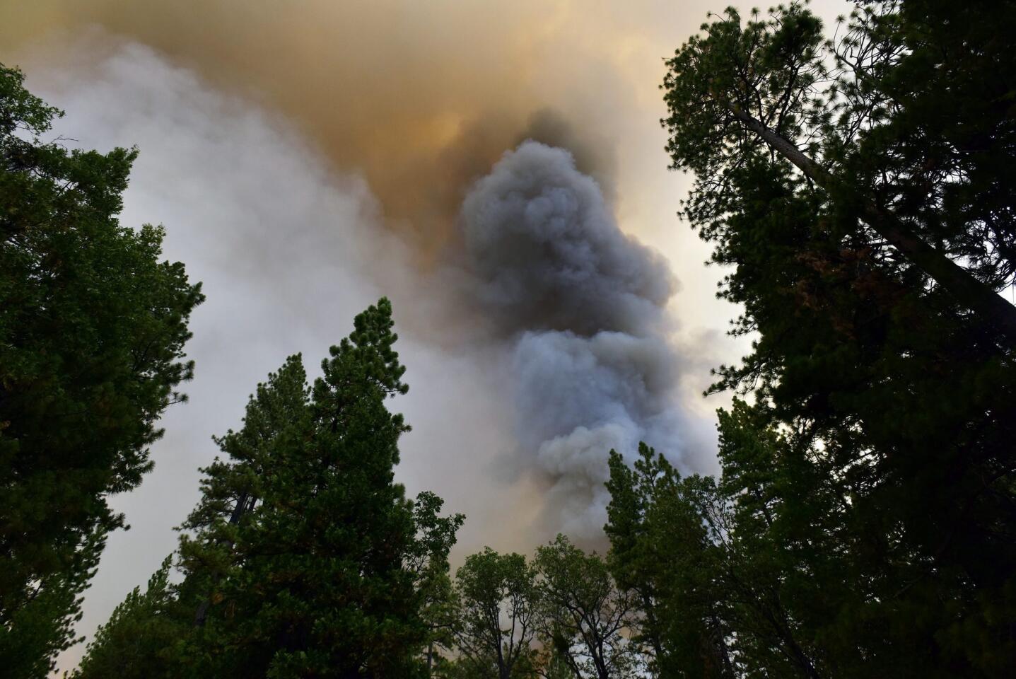 The French fire in the Sierra National Forest creates a giant smoke column in the sky.