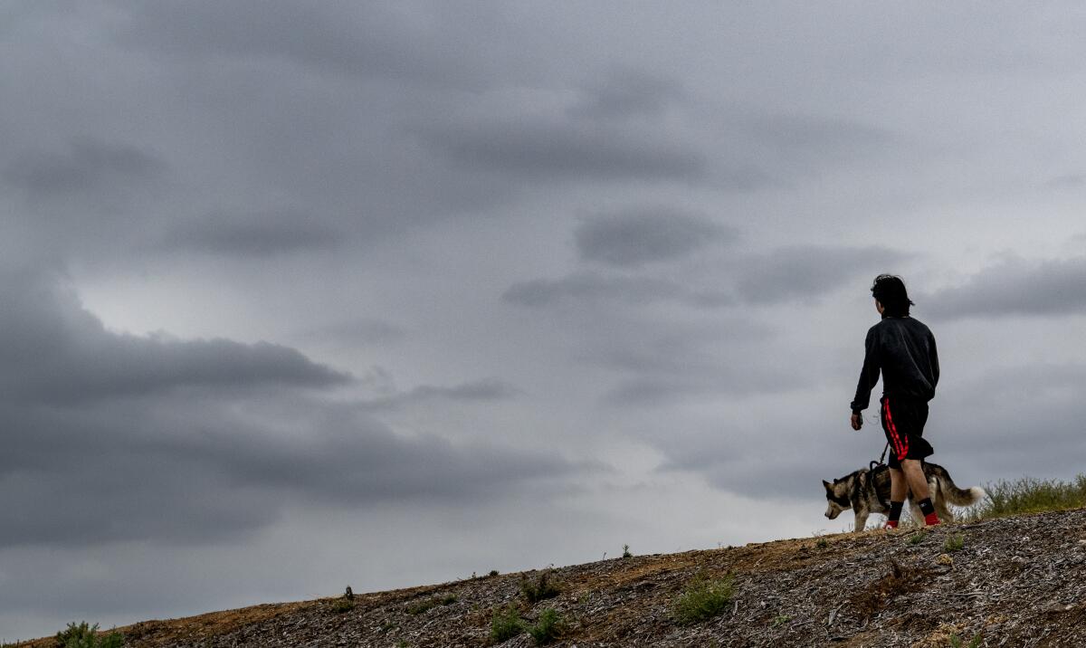 A man and a dog walk outside on a dark, gray, cloudy day