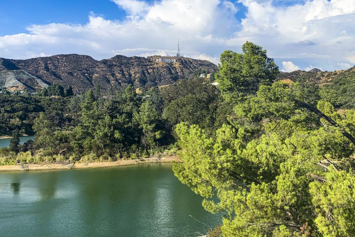 The Hollywood Reservoir under blue skies with puffy white clouds