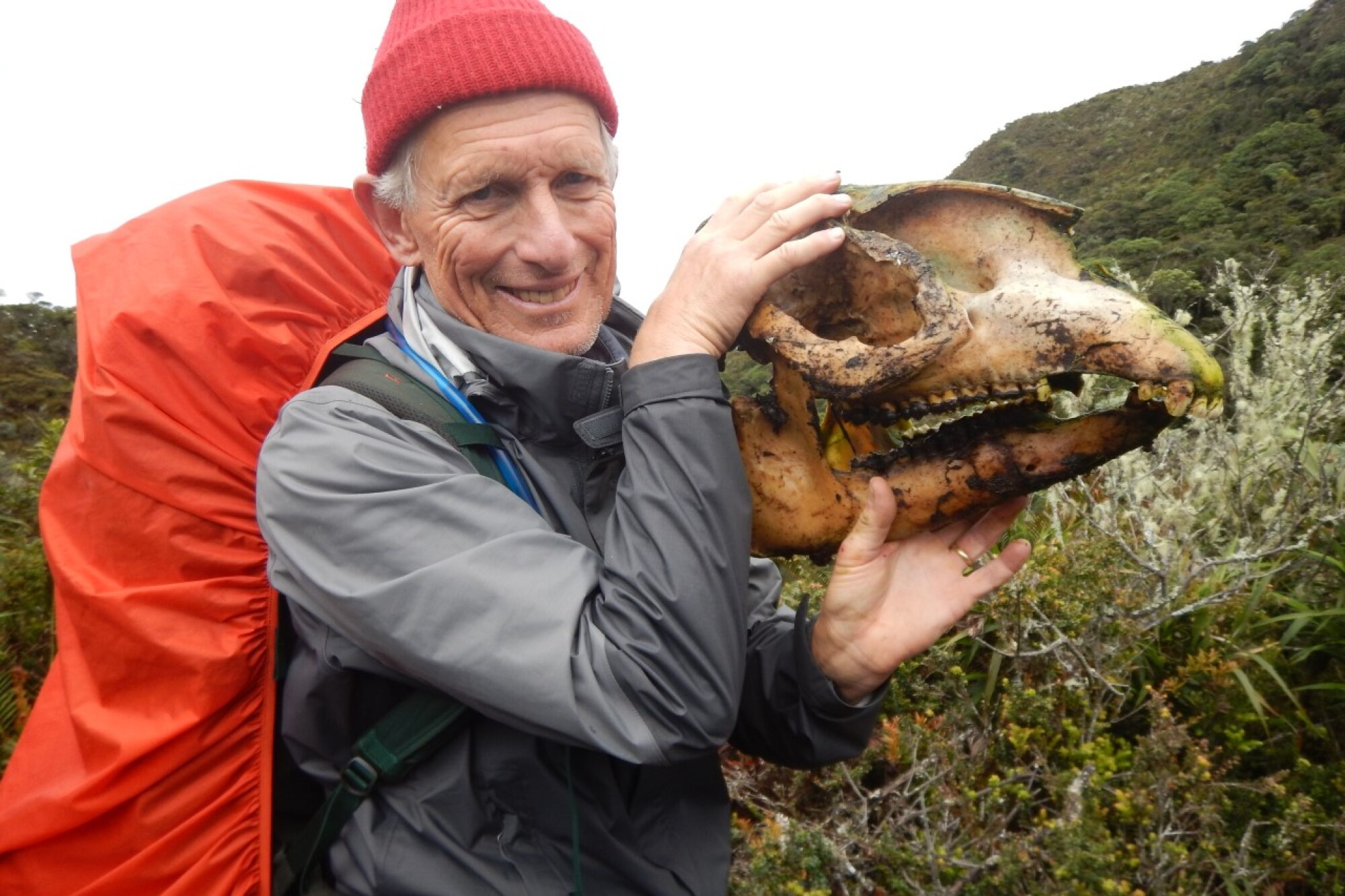 Mike Mooring, a biologist at Point Loma Nazarene University, holds the skeletal head of a tapir he found on a research trip