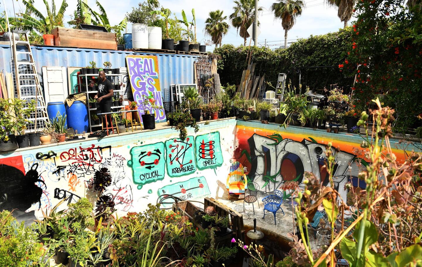 The backyard includes an Olympic-sized swimming pool full of plants and murals by one of Finley's so