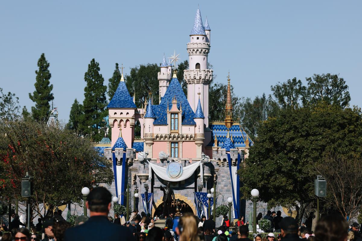 A theme park castle is seen surrounded by trees.
