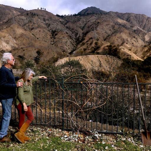 Michael and Josie Olson stand in their backyard, overlooking the transformer that may have begun the Eaton fire.