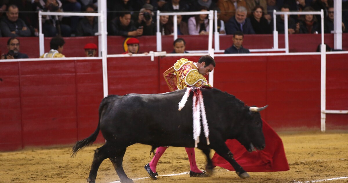 Passionate but dwindling crowds mark the decline of Tijuana bullfights