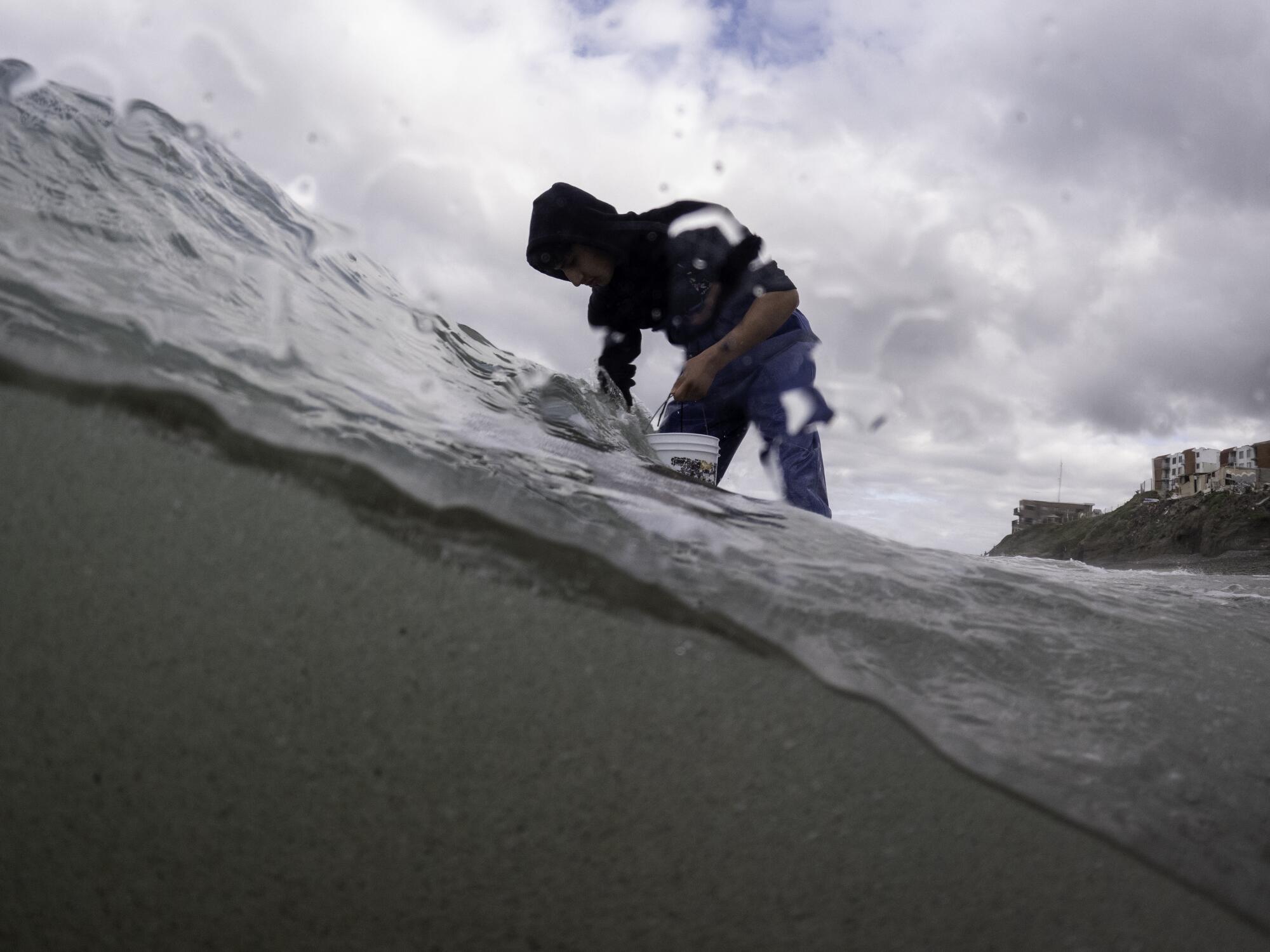 A volunteer takes a water sample