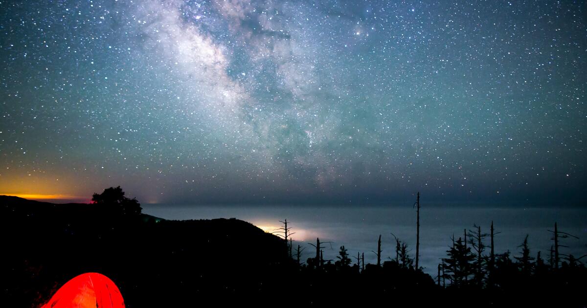 Kayıp Sahil'de kamp yapmak için para ödemeniz gerekiyor mu? İşte bilmeniz gerekenler