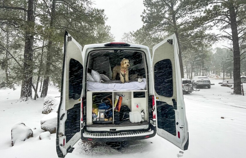 Dog looks out of the back of the camper van on a snowy morning in Grand Canyon National Park.