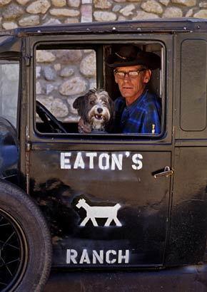 Eatons' Ranch, Wolf, Wyo.