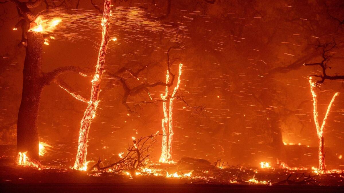 Embers fly as wind and flames from the Camp fire tear through Paradise, Calif.