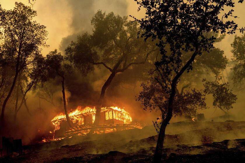 Flames consume a cabin at the Nichelini Family Winery in unincorporated Napa County as the Hennessey Fire burns on Tuesday, Aug. 18, 2020. A winery family member said they had spent 10 hours Monday rebuilding the cabin's foundation. Fire crews across the region scrambled to contain dozens of blazes sparked by lightning strikes as a statewide heat wave continues. (AP Photo/Noah Berger)