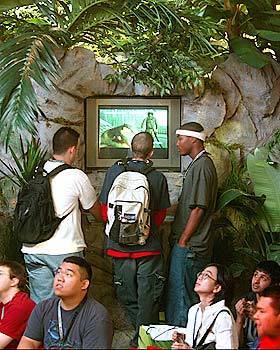 Metal Gear Solid 3 Snake Eater draws gamers to Konamis jungle-themed booth at the Electronic Entertainment Expo in Los Angeles.