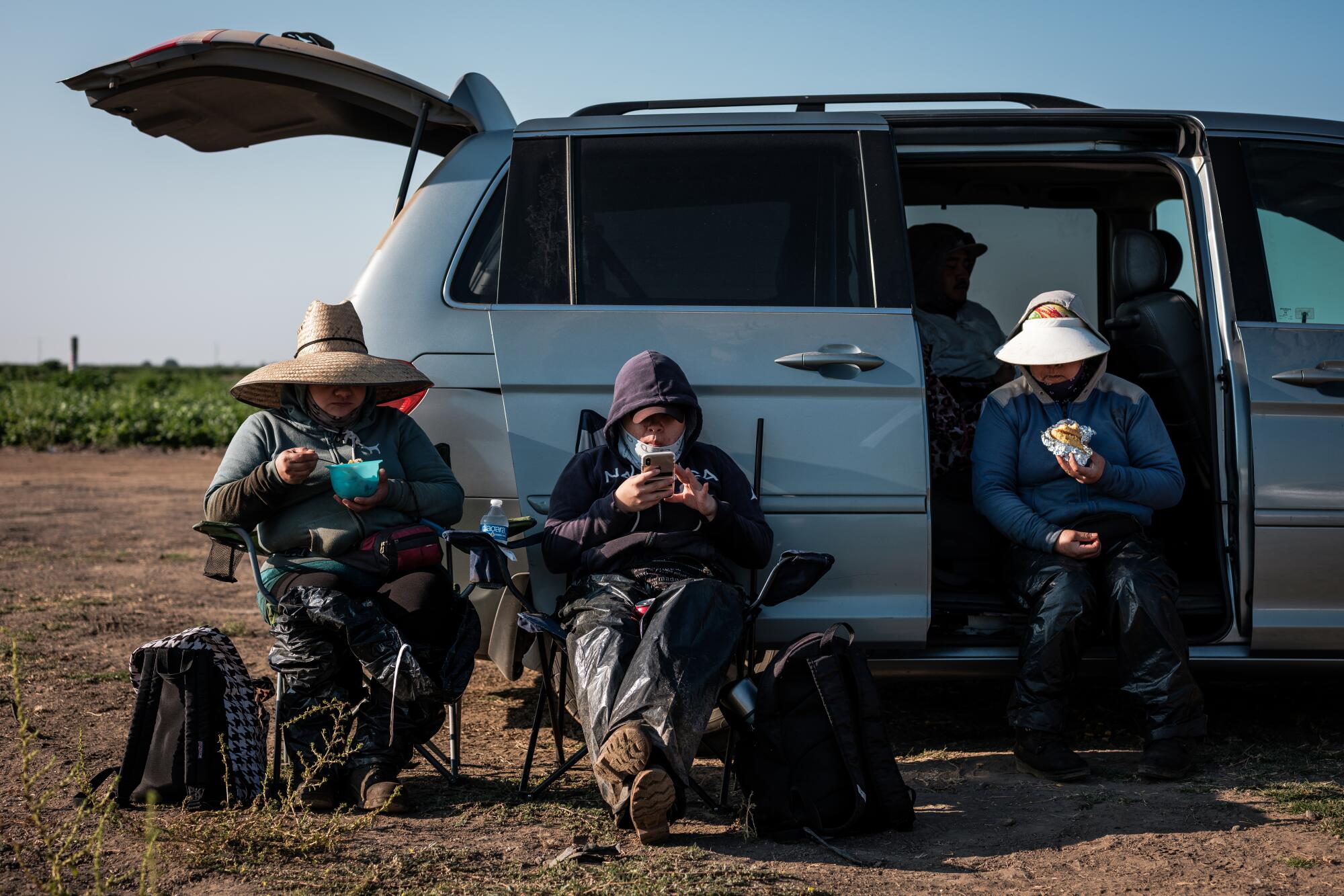 Farmworkers take a break to eat breakfast while weeding a tomato field in French Camp