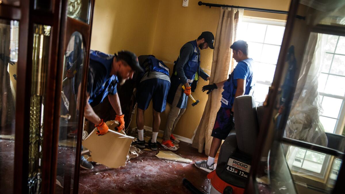Volunteers from the Ahmadiyya Muslim Youth Assn., Yusuf Seager, Rahib Ahmed, Rahman Nasir and Khalil Nasir, from left, tear out damaged drywall at a home in the Westbury neighborhood of Houston.