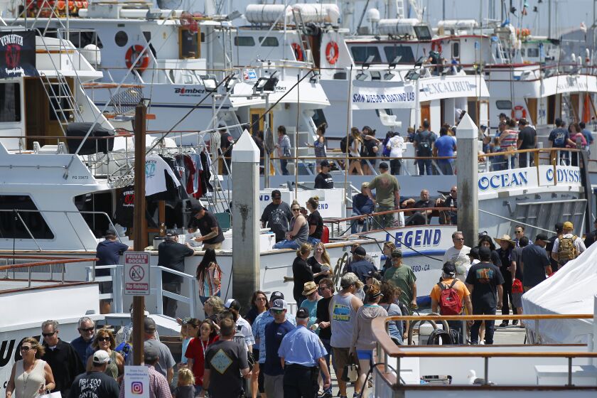 Thousands of people attended the Port of San Diego's Day at the Docks at the San Diego Sportfishing Landings on April 14, 2019. It is the 40th year the San Diego Sportfishing Council has sponsored the event. (Photo by K.C. Alfred/San Diego Union-Tribune)