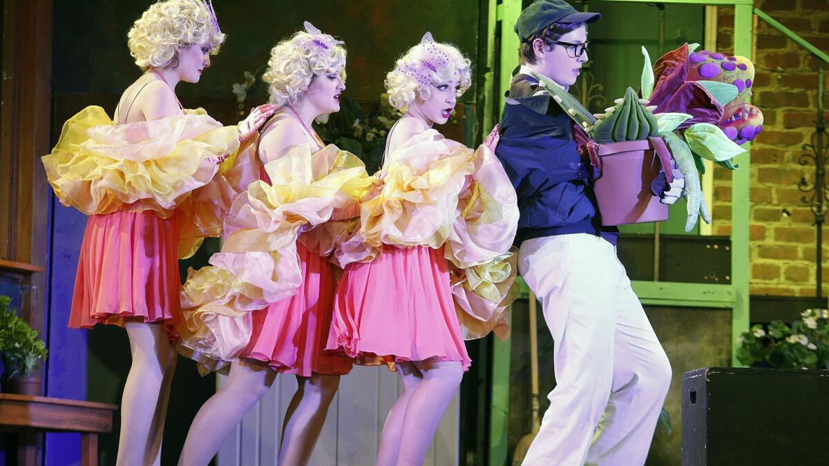 Madison Rothschild, Azat Sayadi and Jessica Bassuk follow Parker Swiercynski, playing Seymour, who is carrying Audrey 2, the carnivorous plant, during a dress rehearsal for "Little Shop of Horrors" at Burbank High School.