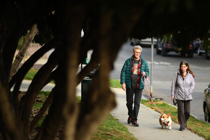 HOLLYWOOD, CALIFORNIA JANUARY 27, 2021-Ted Rogers and Sandy Schane walk their new Corgi in Hollywood on a winter afternoon. The couple recently lost their 13-year-old Corgi and fostered one for a homeless man. (Wally Skalij/Los Angeles Times)