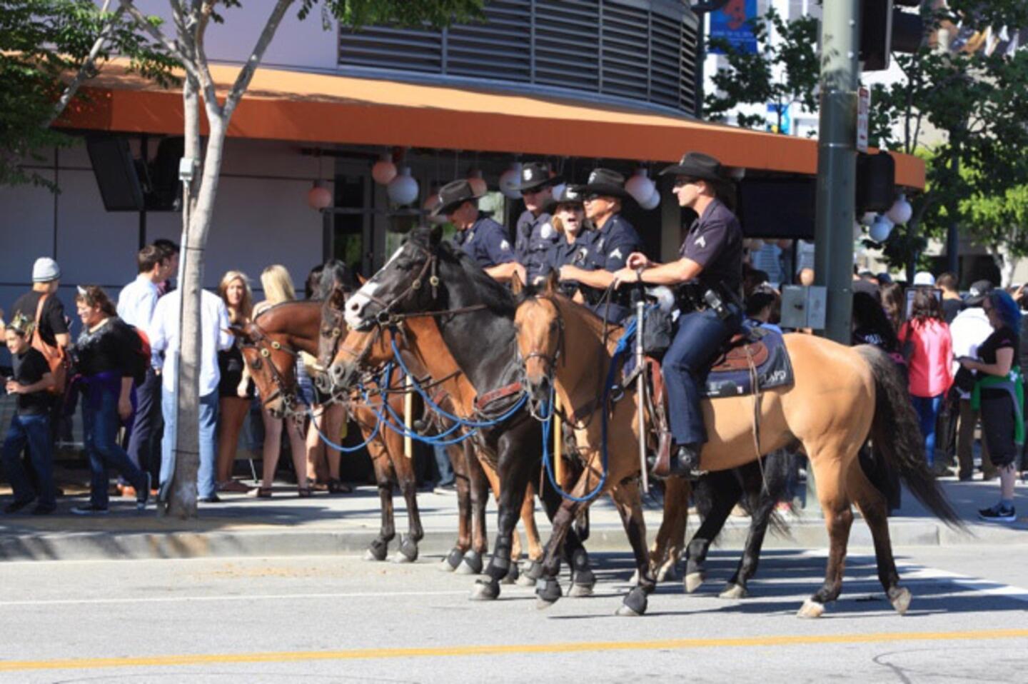 Mounted police