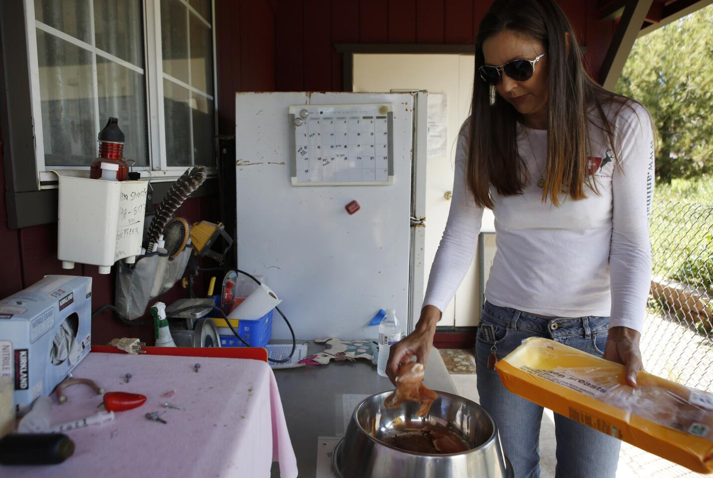 Preparing breakfast