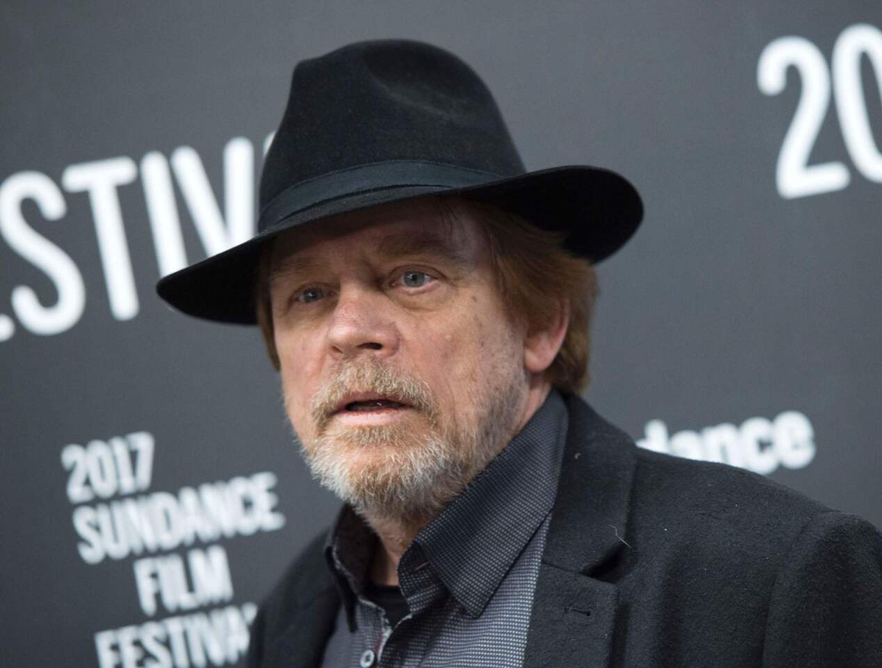 Actor Mark Hamill attends the "Brigsby Bear" premiere at Eccles Center Theatre.