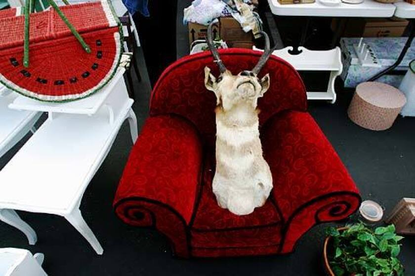 The deer head for sale at the Pasadena City College flea market might be just the right touch in someone's living room. So might the watermelon-esque basket at left.