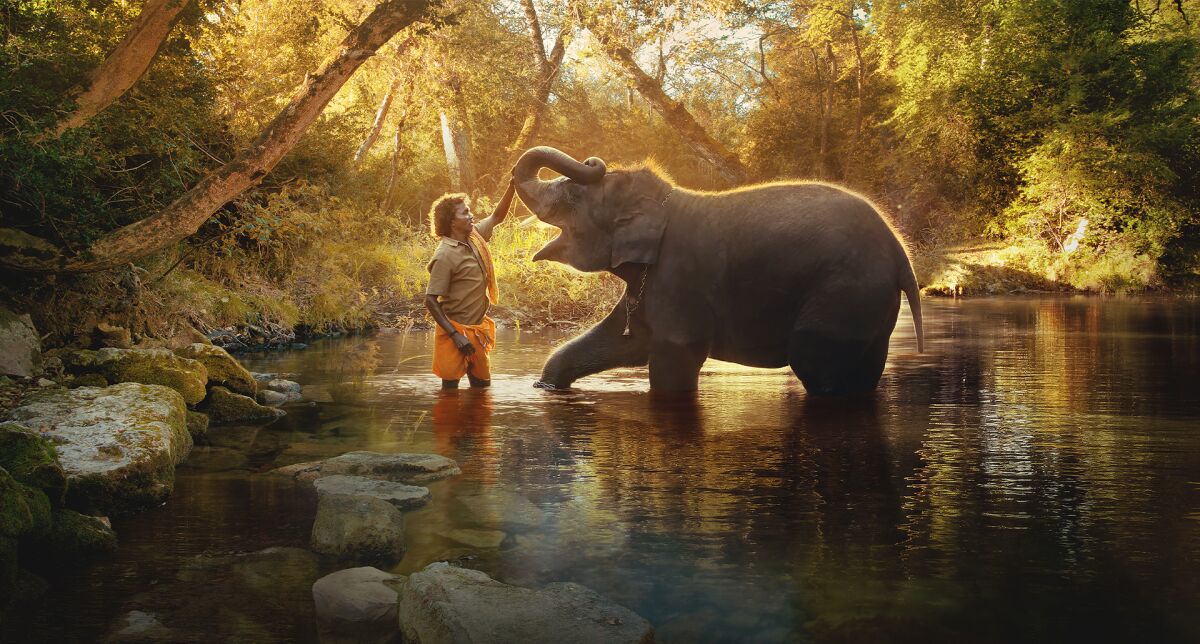 A man strokes the raised trunk of an elephant while they stand in a river.