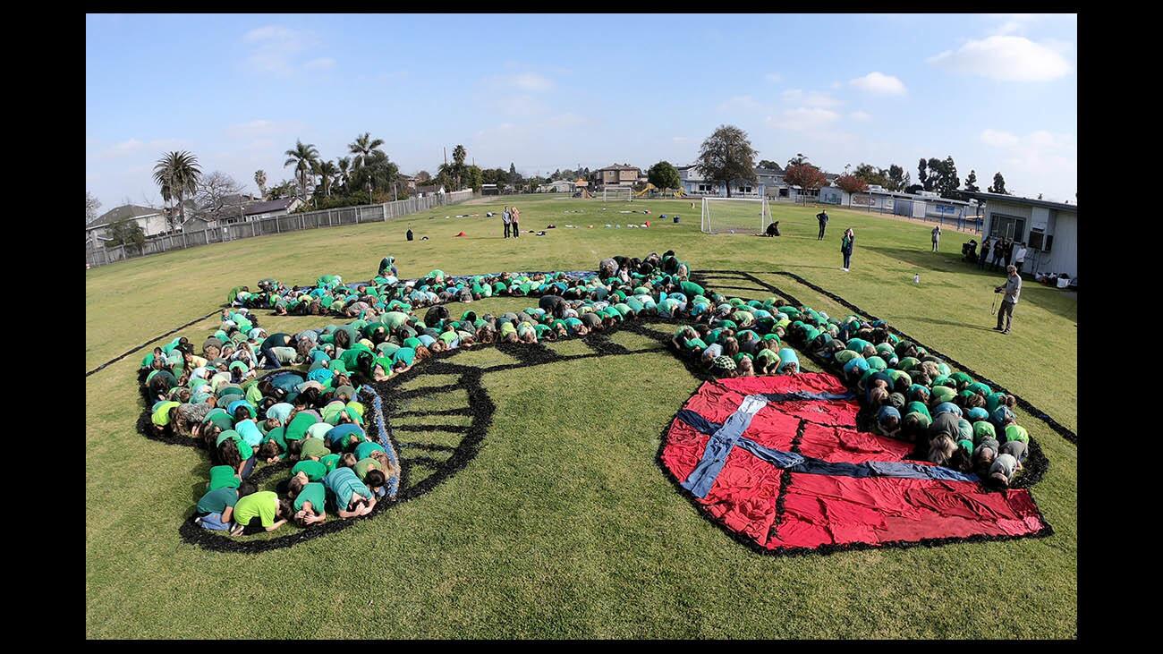 Woodland Elementary School students form the image of a dragon during an "Art for the Sky" project at the Costa Mesa school on Thursday.