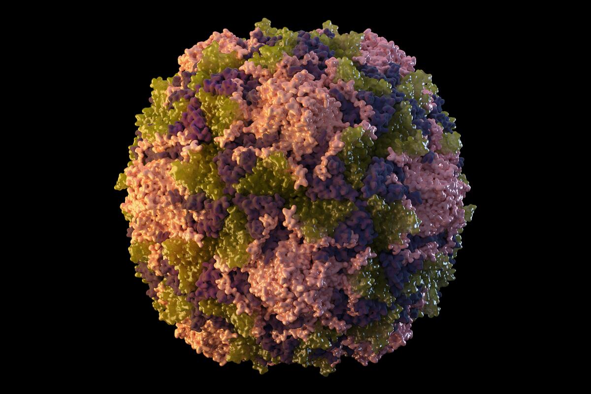 Una partícula del virus de polio. 
