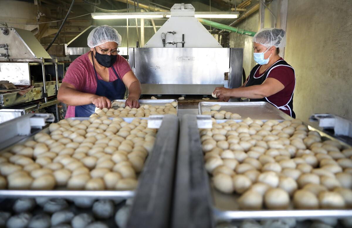 Workers at a tortilla factory