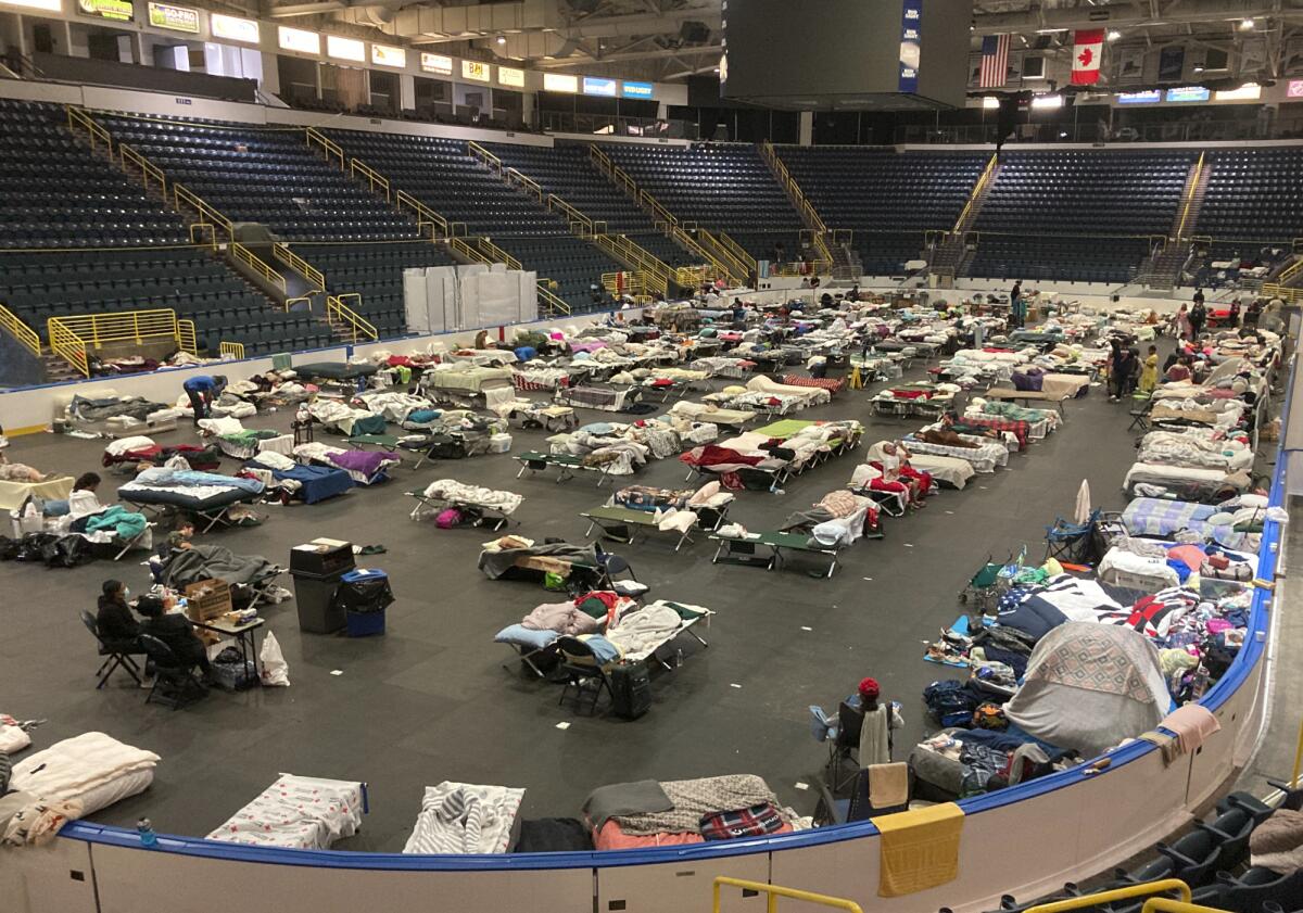 Cots cover the floor of Hertz Arena, an ice hockey venue that has been transformed into a massive relief shelter.