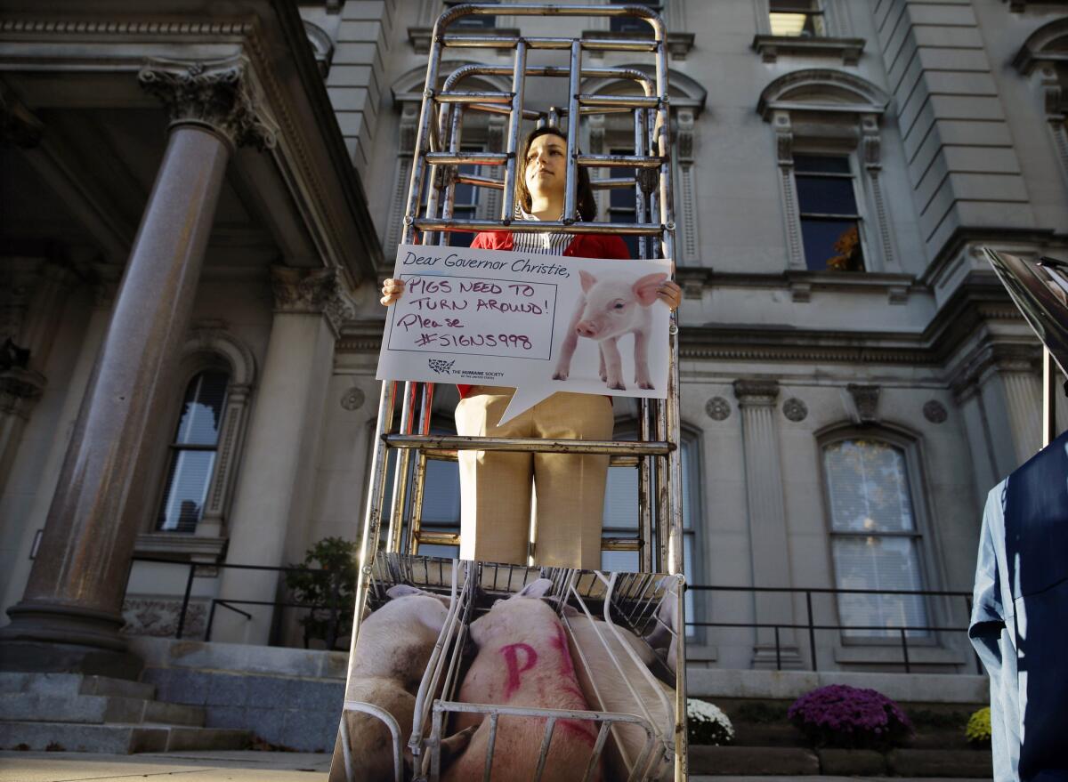 Sarah Swingle of the Humane Society stands in a human-sized cage in Trenton, N.J., as part of a demonstration supporting a bill to restrict crates for pigs.