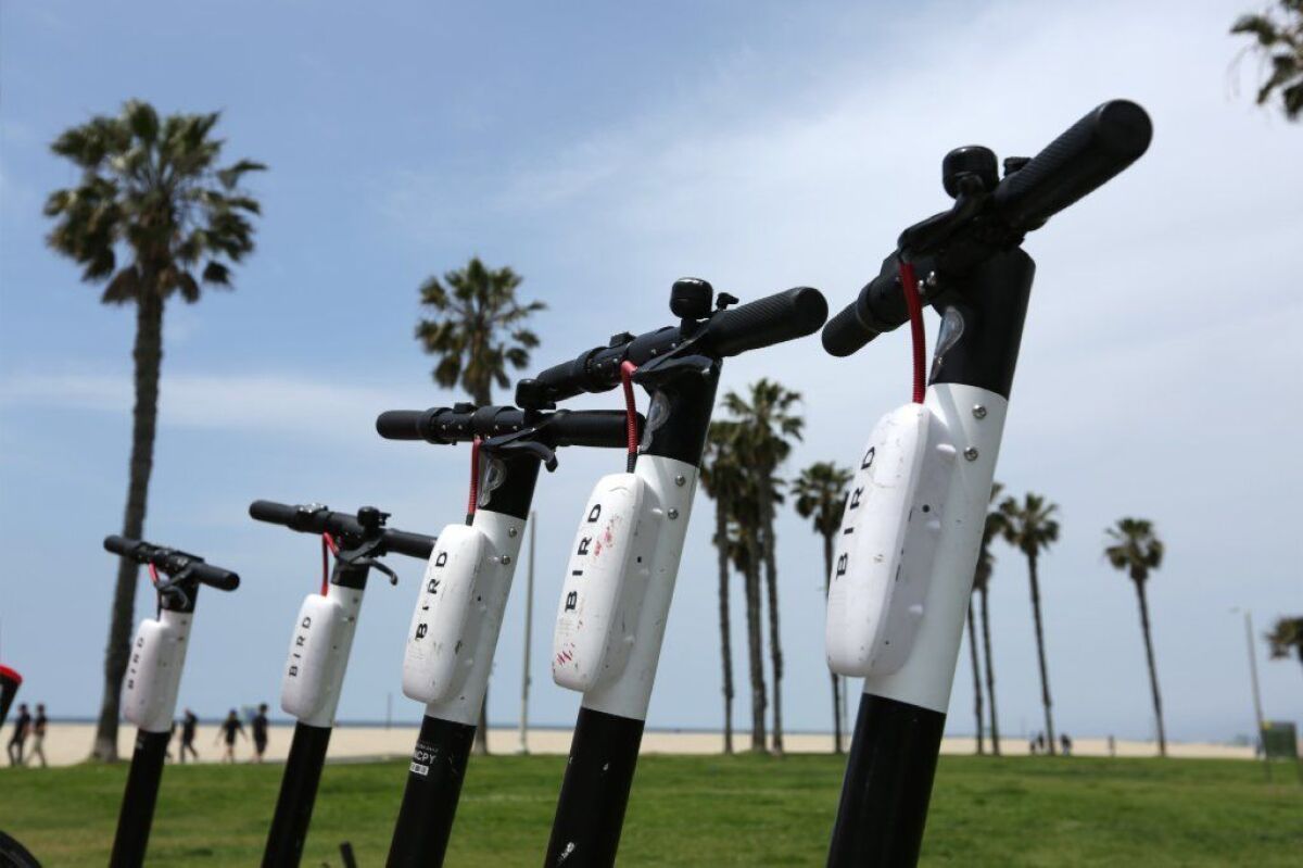 Bird Zeros are lined up near the beach in Venice.