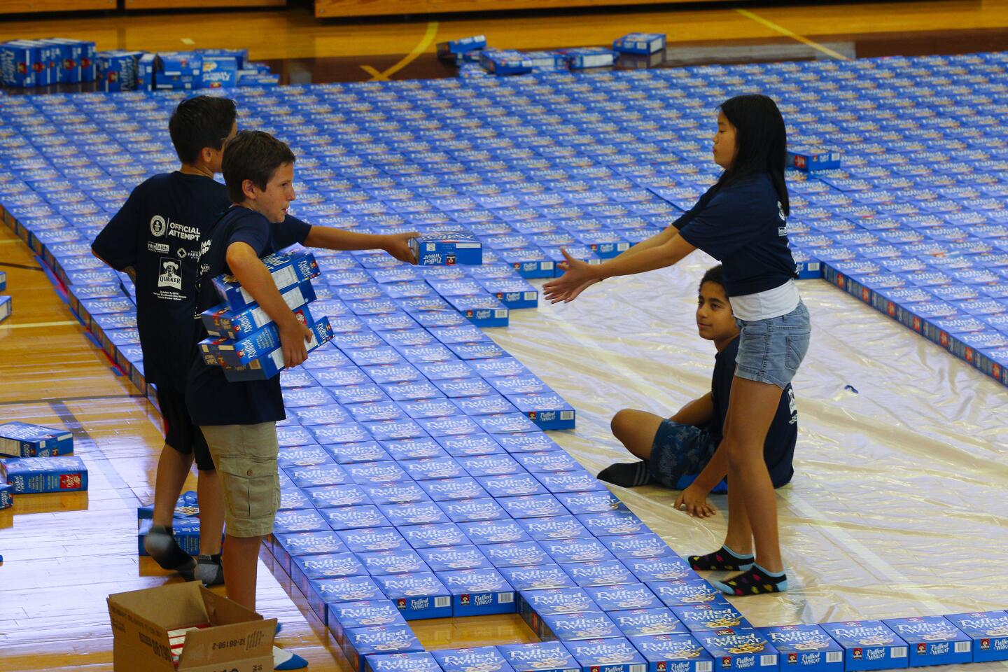 Attempt to break the old Guinness World Record for the largest cardboard box mosaic