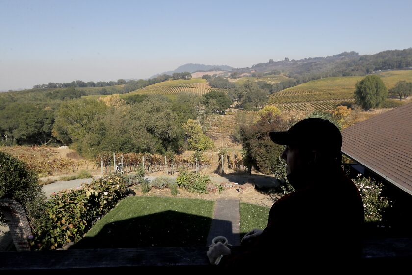 HEALDSBURG, CALIF. - OCT. 28, 2019. Clayton Fritz, president of Fritz Undergorund Winery, surveys the vineyards of the Russian River Valley in Sonoma County. (Luis Sinco/Los Angeles Times)