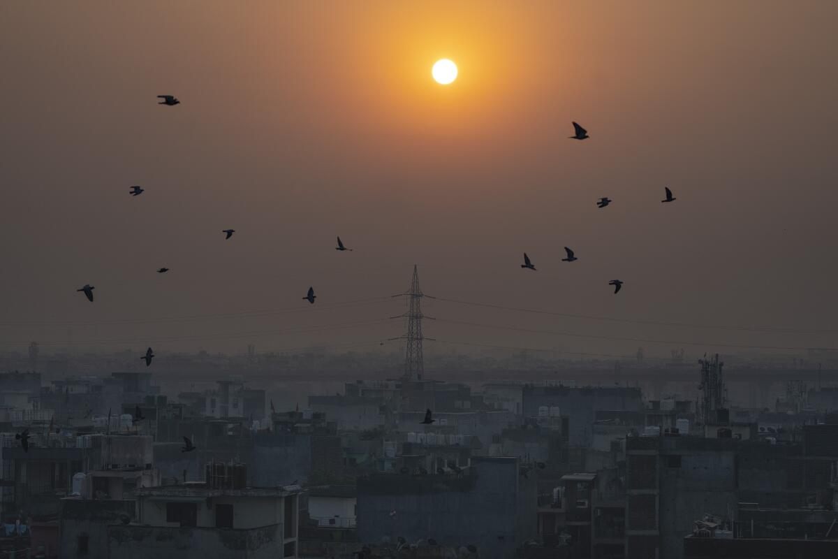 Birds fly in the foreground of a rising sun as morning haze envelops the skyline in New Delhi.