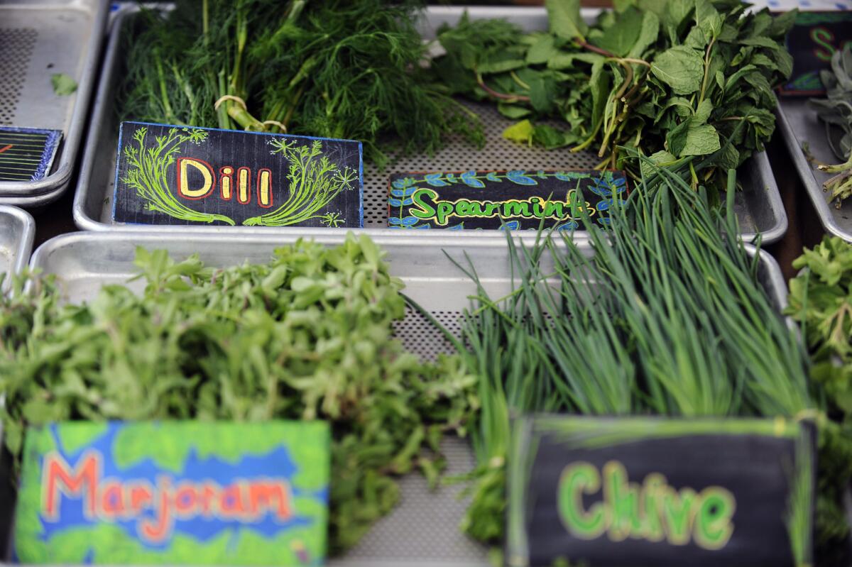 Fresh herbs at the Wednesday Santa Monica farmers market.