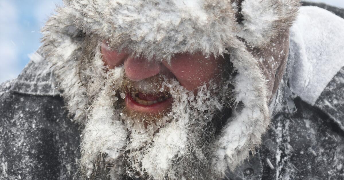 Arctic freeze blasts much of U.S. with sub-zero temperatures