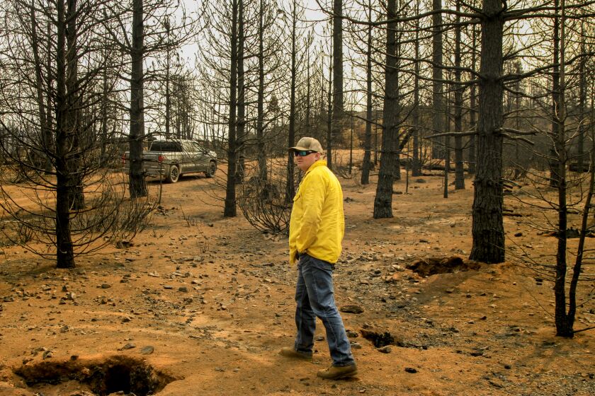 Ryan Hilburn, 45, chief forester for W.M. Beaty & Associates, surveys timberlands