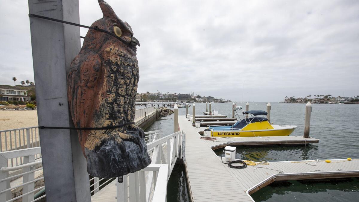 A lifeguard boat occupies a previously public dock near the beach by the Orange County Sheriff Department Harbor Patrol headquarters in Newport Beach.