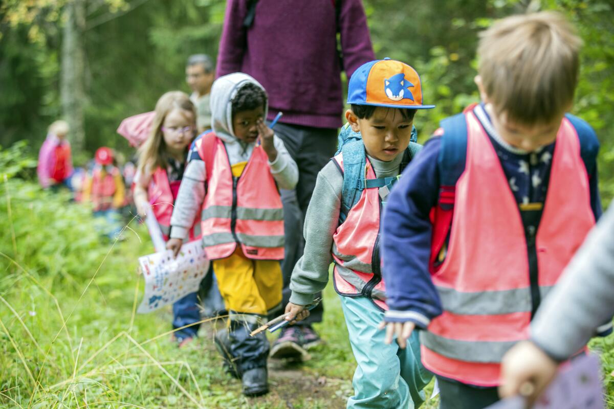 A line of young children in red vests walk in a wooded area 