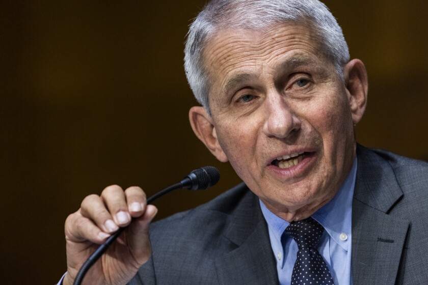 Anthony Fauci speaks into a microphone.