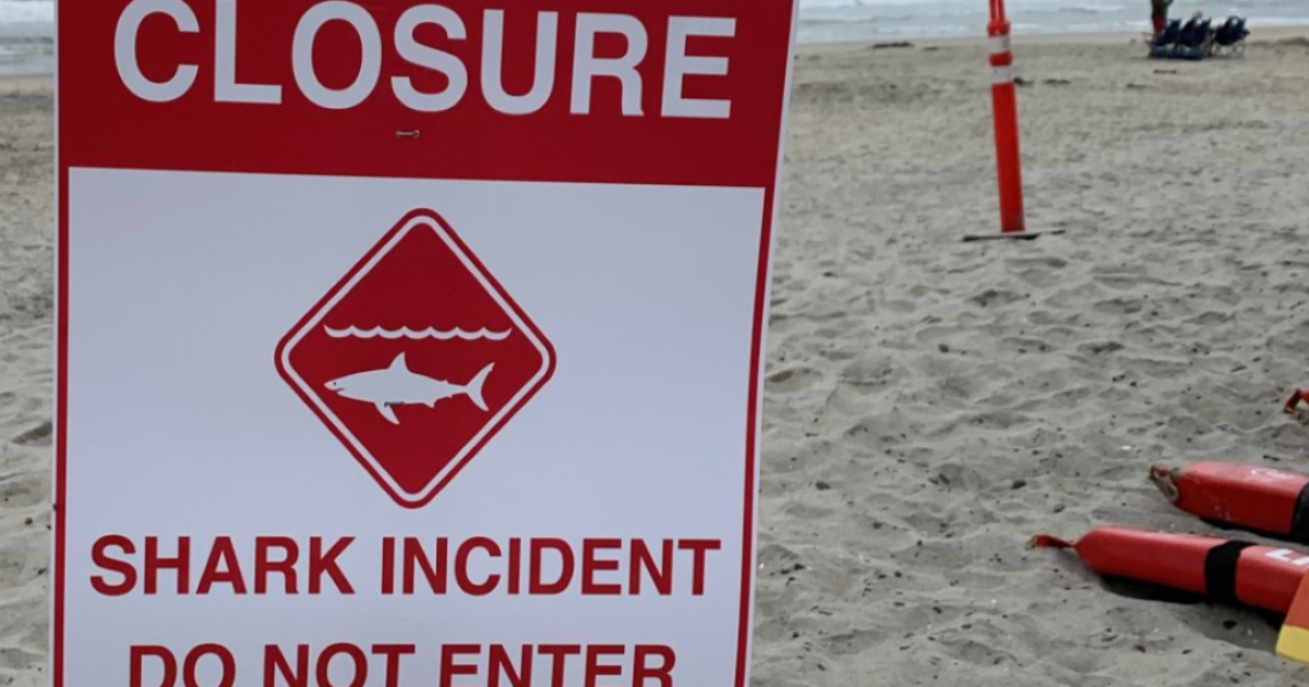 Del Mar Lifeguards close beaches for swimming and surfing after shark ...