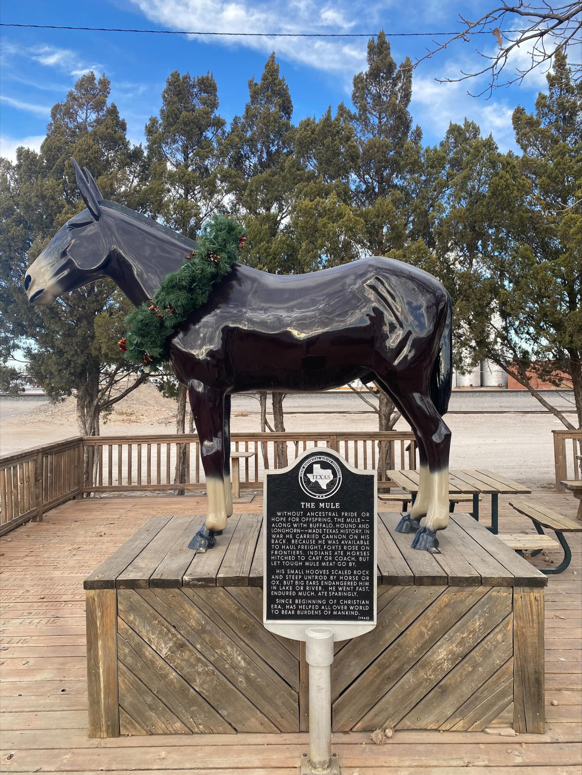 A statue of Old Pete stands near Muleshoe's only stoplight and celebrates the role of the mule in Texas history.