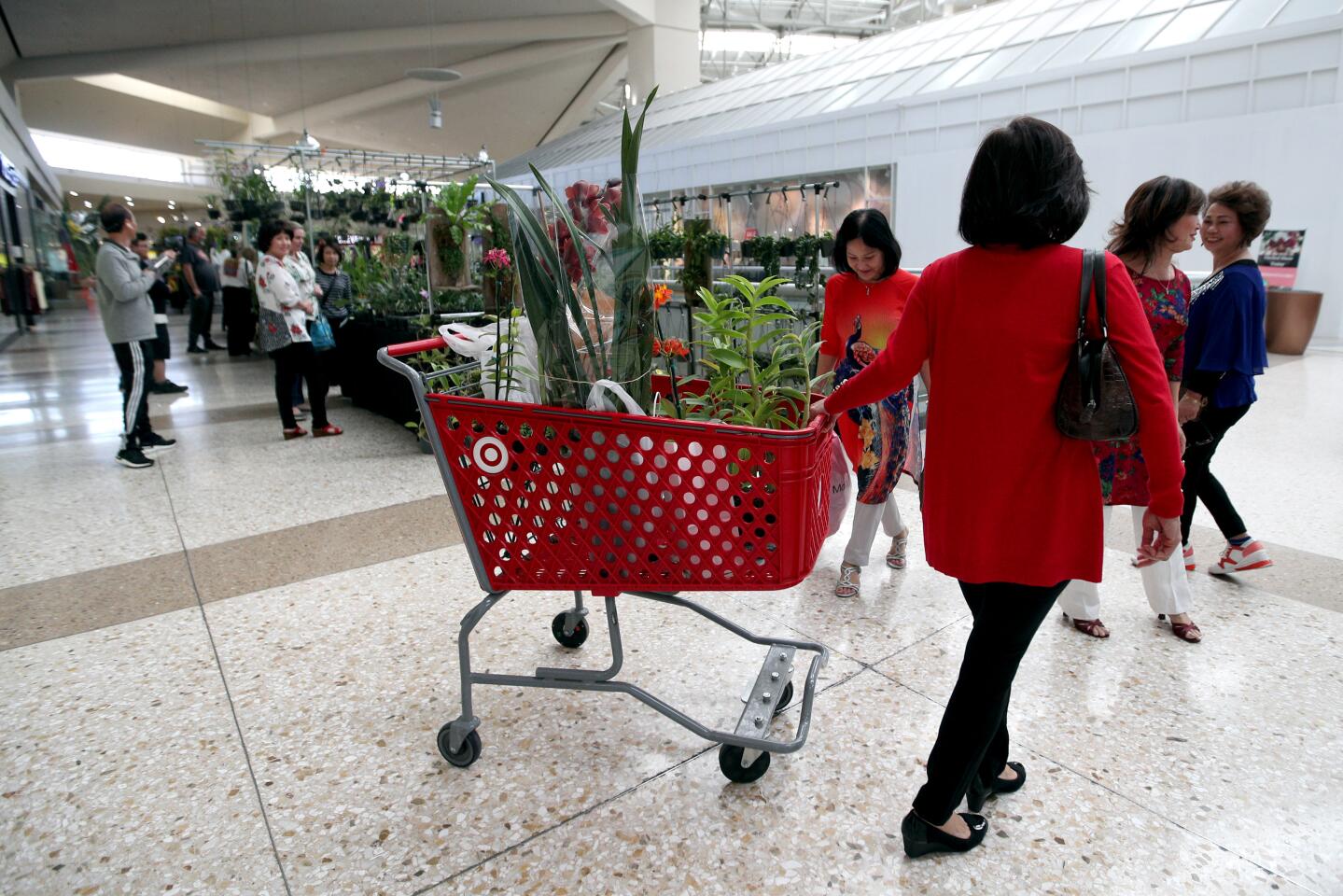 Shoppers haul their purchase of orchids in a shopping cart at the Newport Harbor Orchid Society Orchid Expo and Sale 2020, at the Westminster Mall on Friday, Feb. 7, 2020. The event runs through Sunday.